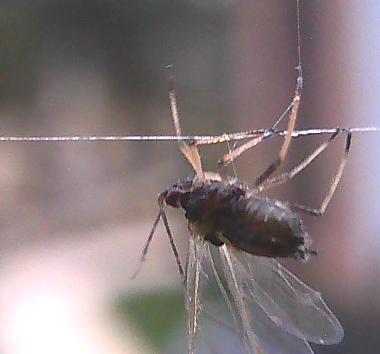 SPI00029 e1761423865621
