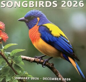 2026 wall calendar
