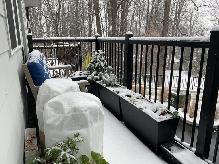 First snow fall and our balcony is covered in snow.
