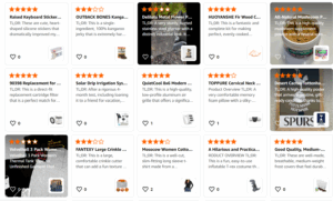 Published Amazon Vine Voices Reviews by Indidi Blue